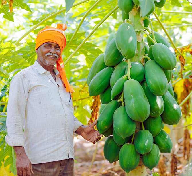 Farmer